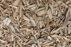 biomass boilers Chunal