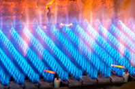 Chunal gas fired boilers